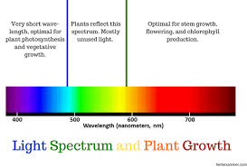 With respect to different percentages and hps control conditions, this. Will Using Moon Lights In Low Tech Tanks Cause Algae The Planted Tank Forum