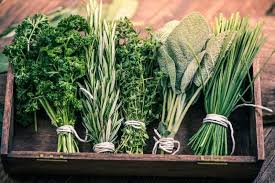 27:24 can i use porch columns to grow food like rain … 24 Newbie Friendly Vegetables You Can Easily Grow Indoors