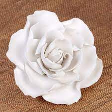 Check spelling or type a new query. Extra Large Gardenia White Caljavaonline