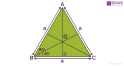 Calculate the midpoint of the second side of the triangle find the second side length and divide it into half. How To Find Centre Of Mass Of Equilateral Triangle