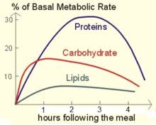 Basal Metabolic Rate Wikipedia