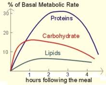 basal metabolic rate wikipedia