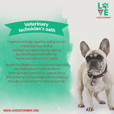 Some of you are procrastinators. Happy Vet Tech Week Appreciate Your Vet Techs Veterinary Technician Happy Vet Vet Tech Humor