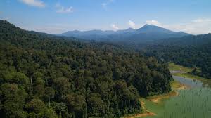 Faizalroyalbelum 266 views9 year ago. Rimau On Twitter Berita Baik Untuk Harimau Kita Hari Ini Penguatkuasa Malaysia Dan Thailand Telah Bersetuju Untuk Pengurusan Kawasan Lindungan Rentas Sempadan Seluas Hampir 260 000 Hektar Kawasan Sempadan Ini Meliputi Taman Negeri