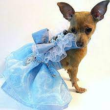 Alice In Wonderland Dress Dog Coats Girl Dog Clothes Formal Dog