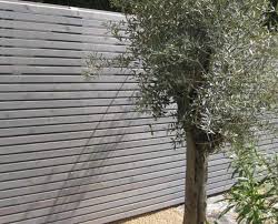 Rhomtrend Wall Doppelt Belegt Und Lasiert In 2020 Sichtschutz Larche Sichtschutzzaun Sichtschutz Garten
