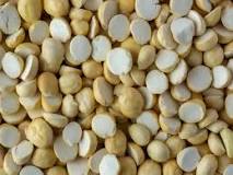Fried Gram Split / Udacha Kadalai / Pottu Kadalai Online