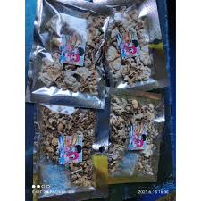 Gratis untuk komersial tidak perlu kredit bebas hak cipta. Buy Kulat Sisir Cendawan Kukur Tester Pek 100 Kering Seetracker Malaysia