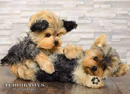 Puppy Yorkshire Terrier Jack Portrait Pet Handmade Animal By Photo Yorkshire Terrier Teacup Yorkshire Terrier Dog Yorkshire Terrier Puppies