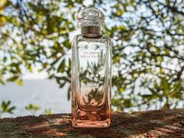 hermes un jardin sur la lagune perfume fragrance summer perfume