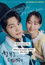 What Source to Watch Lovely Runner