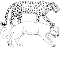 You can use our amazing online tool to color and edit the following puma coloring pages. Puma Coloring Pages Coloring Home