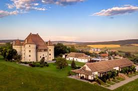 Cetatea de baltă, localitate aflată în podișul târnavelor, este atestată documentar din anul 1197 sub numele. O Evadare Din Timp La Castelul Bethlen Haller In Anul Cel Mai Bun Al Jidveiului Adriana Joy