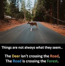 Image Things Are Not Always What They Seem R Inspirationalquotes