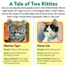 Does your child need an exotic small size pet? The World Of Wild Pets