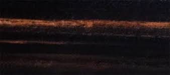 Image result for Diospyros crassiflora