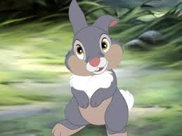 Cute Cartoon Instagram Profile Pics Cuteanimals Since instagram is a social network specifically designed for mobile devices to do this, make sure you follow these instagram image size requirements: cute cartoon instagram profile pics