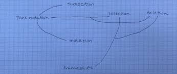 Since all cells in our body contain dna, there are lots of places for mutations to occur; What Is A Point Mutation Quizlet