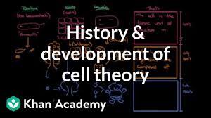 We did not find results for: History And Development Of Cell Theory Video Khan Academy