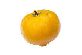 Image result for Pouteria pseudoracemosa