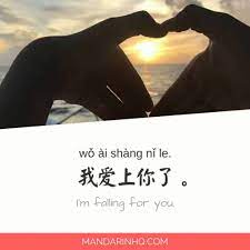Results will show the chinese word, the pinyin representation of the word, and the english definition. Chinese Love Phrases 8 Ways To Tell That Special Someone How You Feel Mandarin Hq
