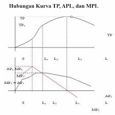 Maksudnya ialah bahwa pendidikan menuntun. Teori Produksi Fungsi Produksi Isocost Dan Isoquant Abstraksi Ekonomi