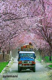 Skardu In Spring Pakistan Pakistan Travel World Most Beautiful Place Beautiful Places To Visit