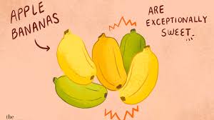 See more ideas about lady fingers recipe, lady fingers, cookie recipes. A Guide To 6 Different Types Of Bananas