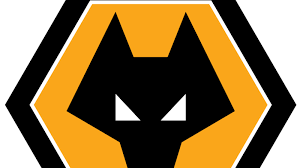 Almost files can be used for commercial. Transparent Wolves Fc Logo