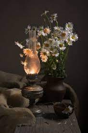 530 ideas de Bodegones | pinturas de bodegones, bodegon de frutas, bodegón  fotografía