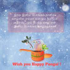 Tamil New Year And Pongal Wishes Send These Unique Pongal Wishes In Tamil To Your Friends And Family