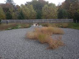 A dry pond or detention pond only holds water for a short amount of time. Extended Dry Detention Basin