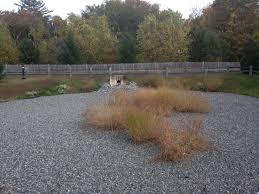 Discharge of the detention pond outlet pipe. Extended Dry Detention Basin