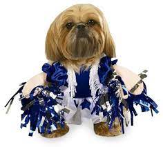 Spirit Paws Dog Costume Pet Halloween Costumes Dog Halloween Costumes Dog Costumes Funny