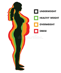 Woman Body Mass Index Bmi Categories Stock Vector