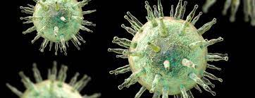 It is common among teenagers and young adults, especially college students. Epstein Barr Virus Antibody Test