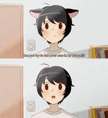 Hora Mimi Ga Mieteru Yo Anime Neko Boy Neko