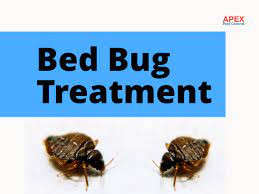 They're sneaky, hard to find, and can pose potential health risks bed bugs can be difficult to eradicate; Bed Bug Treatment Efficient Service Leeds Apex Pest Control