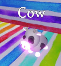 Neon Cow Pet Store Ideas Pet Cows Animal Room