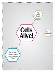 We have cell diagrams with and without labels, as well as vocabulary activities. Cells Alive By Emily Brown Teachers Pay Teachers