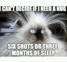 I Can T Decide If I Need A Hug Six Shots Or Three Months Of Sleep I Need A Hug Stress Humor Nurse Humor