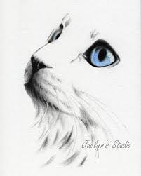 Black And White Cat With Blue Eyes White Cat With Blue Eyes Print Cat Sketch Charcoal Cat Etsy Charcoal Sketch Cat Sketch Animal Drawings