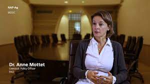According to the fao's anne mottet, eating north american beef, raised in a feedlot, produces about 50 kilograms of co2e per kilogram of edible beef (it's 35.2 kg co2e per kg of carcass weight). Learning Integrating Agriculture In National Adaptation Plans Naps Ù…Ù†Ø¸Ù…Ø© Ø§Ù„Ø£ØºØ°ÙŠØ© ÙˆØ§Ù„Ø²Ø±Ø§Ø¹Ø© Ù„Ù„Ø£Ù…Ù… Ø§Ù„Ù…ØªØ­Ø¯Ø©