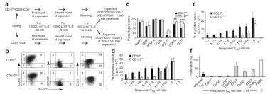 He has helped and mistreated her before, but also the one to witness her sharp wits and. In Vivo Prevention Of Transplant Arteriosclerosis By Ex Vivo Expanded Human Regulatory T Cells Nature Medicine