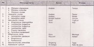 Bioteknologi Pelajaran Biologi Smp Mts Kelas Ix