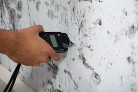 Redwood City Mold Inspection and Testing | Mold Inspection Redwood City