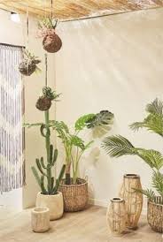 plantes et pots bois centrakor joli jardin plante chambre naturel