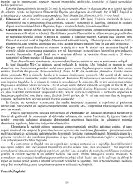 Curs Microbiologie Generala Pdf Free Download