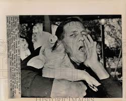 1965 Press Photo Elroy Murphy in Pomona, California hog calling contest.