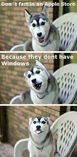 37 Funny Puns That Are So Bad They Re Simply Hilarious Funny Animal Jokes Funny Dog Jokes Funny Dog Memes